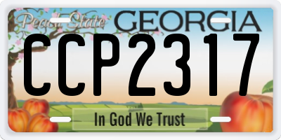GA license plate CCP2317