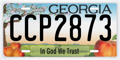GA license plate CCP2873