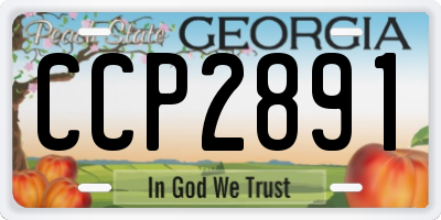 GA license plate CCP2891