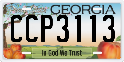 GA license plate CCP3113
