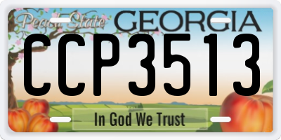 GA license plate CCP3513