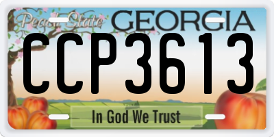 GA license plate CCP3613