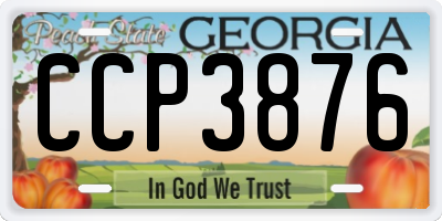 GA license plate CCP3876