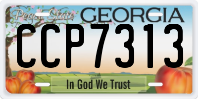GA license plate CCP7313