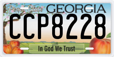 GA license plate CCP8228