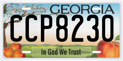 GA license plate CCP8230