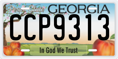 GA license plate CCP9313