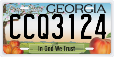 GA license plate CCQ3124