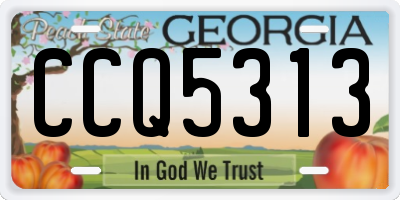 GA license plate CCQ5313