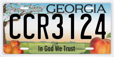 GA license plate CCR3124