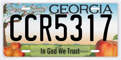 GA license plate CCR5317