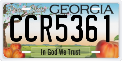GA license plate CCR5361