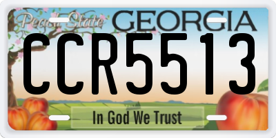 GA license plate CCR5513