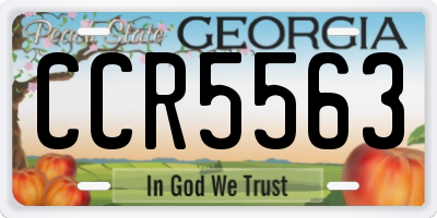 GA license plate CCR5563