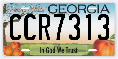 GA license plate CCR7313