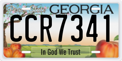GA license plate CCR7341