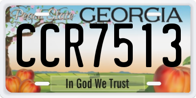 GA license plate CCR7513