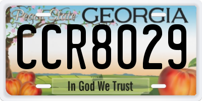 GA license plate CCR8029