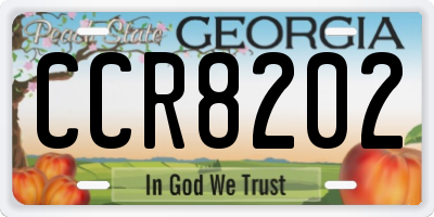 GA license plate CCR8202
