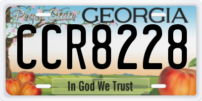 GA license plate CCR8228