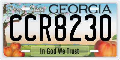 GA license plate CCR8230