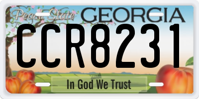 GA license plate CCR8231