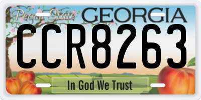 GA license plate CCR8263