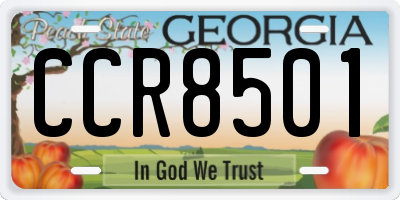 GA license plate CCR8501