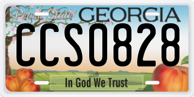 GA license plate CCS0828
