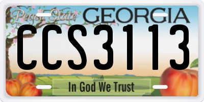 GA license plate CCS3113