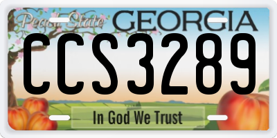GA license plate CCS3289