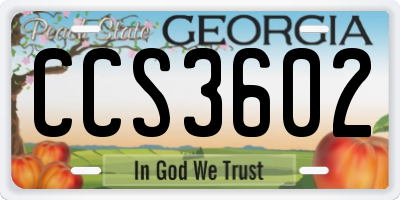GA license plate CCS3602