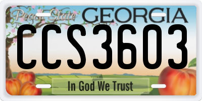 GA license plate CCS3603