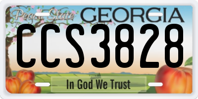 GA license plate CCS3828