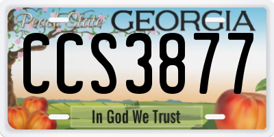 GA license plate CCS3877