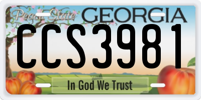 GA license plate CCS3981