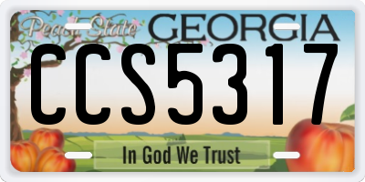 GA license plate CCS5317