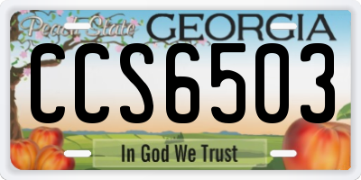 GA license plate CCS6503