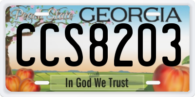 GA license plate CCS8203