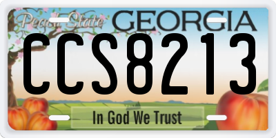 GA license plate CCS8213