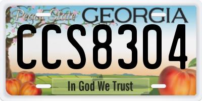 GA license plate CCS8304
