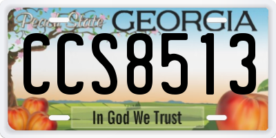 GA license plate CCS8513