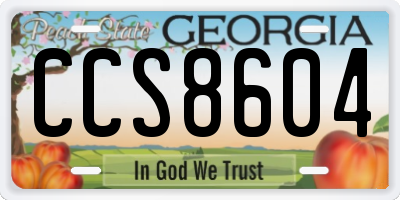 GA license plate CCS8604