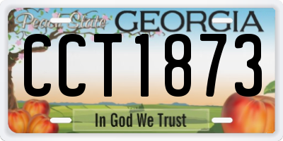 GA license plate CCT1873