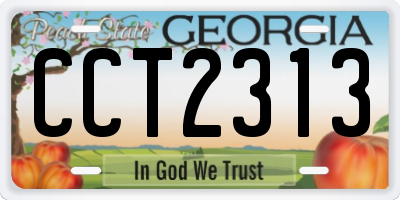 GA license plate CCT2313