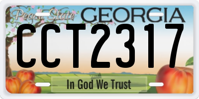 GA license plate CCT2317