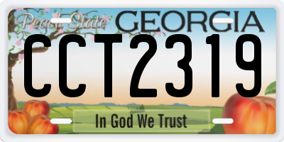 GA license plate CCT2319