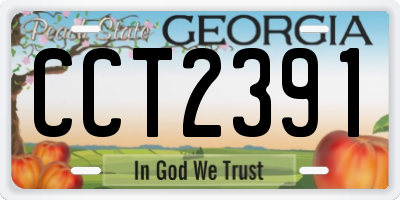 GA license plate CCT2391