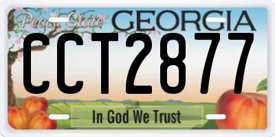GA license plate CCT2877
