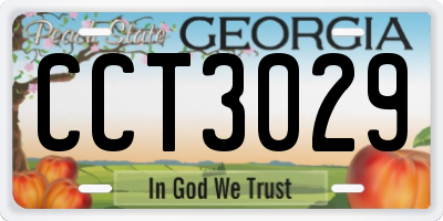 GA license plate CCT3029
